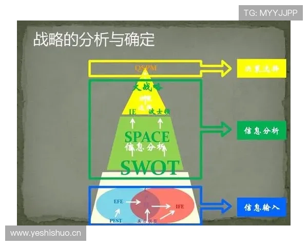 拉菲尼亚与安东尼效率及决策能力对比分析